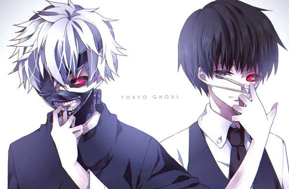 Ken Kaneki Dual Sides - Tokyo Ghoul