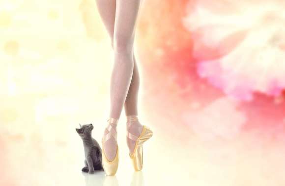 Kitten Cat Artistic Ballerina wallpapers hd quality