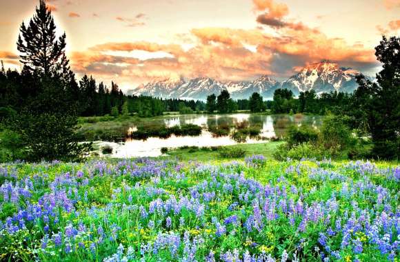 Lake Tree Flower Mountain Landscape Nature Spring