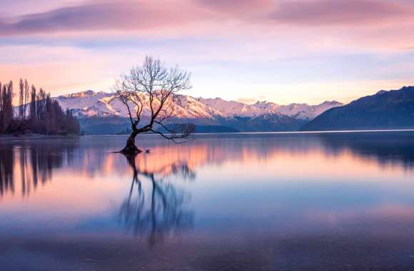 Lake Wanaka Serenity - New Zealand wallpapers hd quality