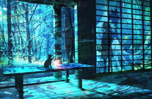 Lantern Cat Anime Tranquility -