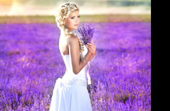 Lavender Bride in