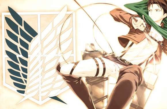 Levi Ackerman - Scouting Legion, Attack on Titan wallpapers hd quality