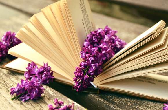 Lilac Blooms & Literature A HD Still Life