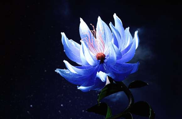 Lotus flower Blue aesthetic