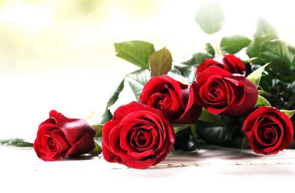 Love Bouquet Red Flower Red Rose Flower Nature Rose