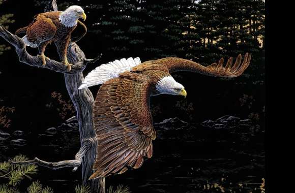 Majestic Bald Eagles -