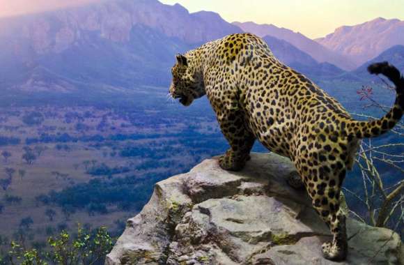 Majestic Jaguar Overlook