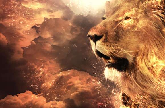 Majestic Lion in Clouds wallpapers hd quality