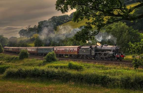 Majestic Train Journey