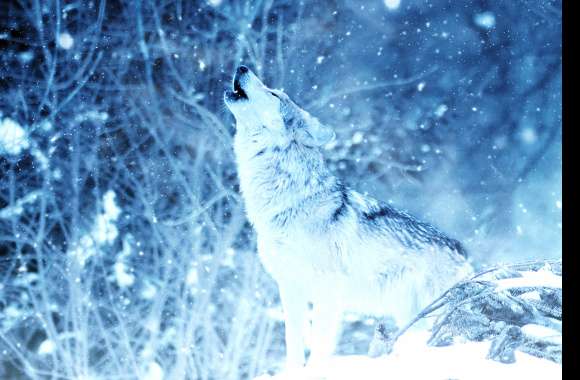 Majestic Winter Howl Wolf in Snowfall