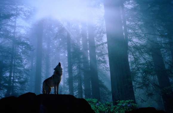 Majestic Wolf in Forest -