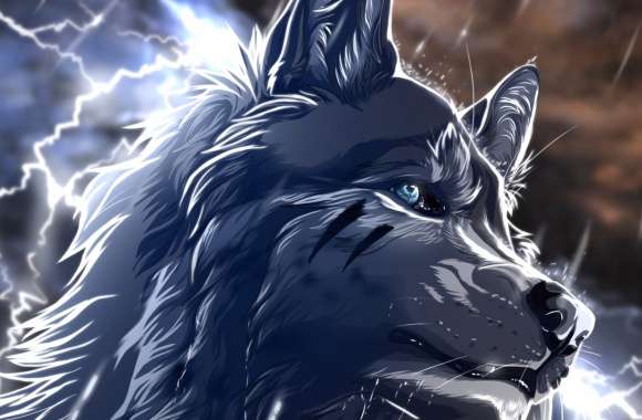 Majestic Wolf Power and Serenity wallpapers hd quality