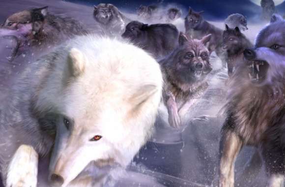 Majestic Wolves in