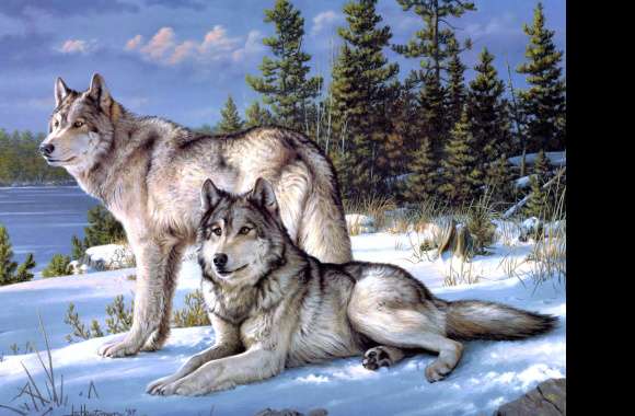 Majestic Wolves in Winter -