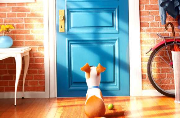 Max Waiting at the Door - from The Secret Life of Pets