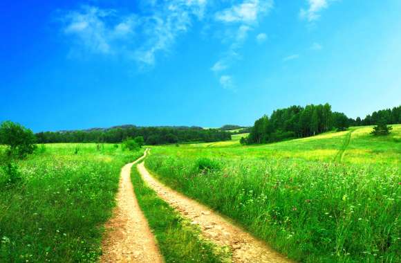 Meadow Pathway HD Nature Wallpaper