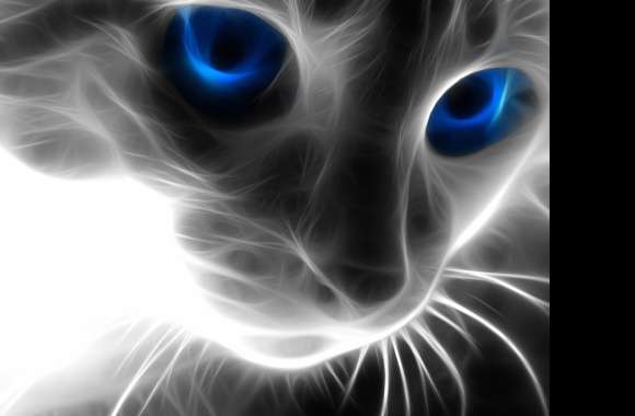 Mesmerizing Cat