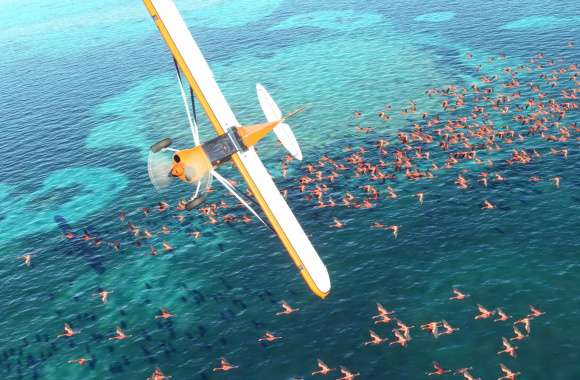 Microsoft Flight Simulator - Vintage Plane Over Ocean
