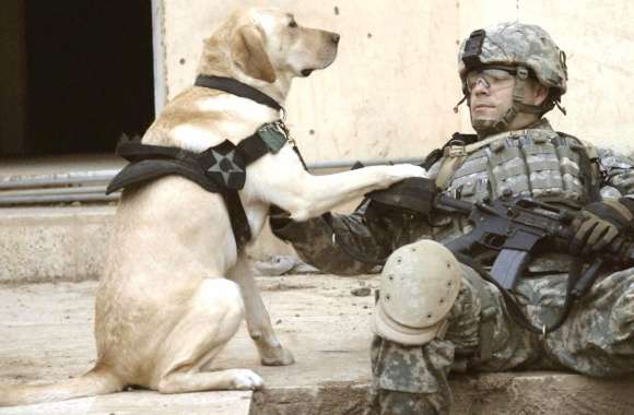 Military Bond Dog and Soldier wallpapers hd quality