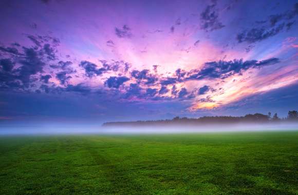 Misty Sunrise in Meadow -