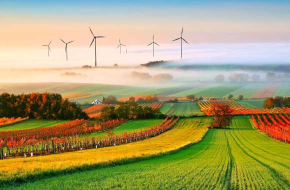 Misty Turbine Sunrise -