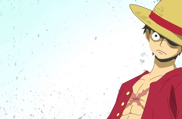 Monkey D. Luffy Straw Hat