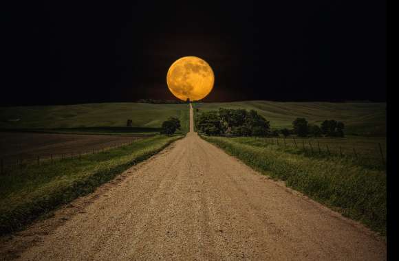 Moonlit Field Road -