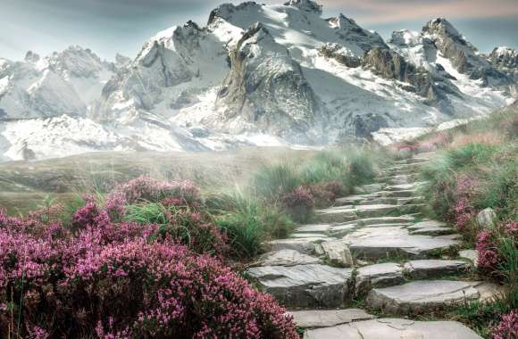 Mountain Path to Serenity wallpapers hd quality