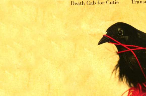 Music Death Cab For Cutie