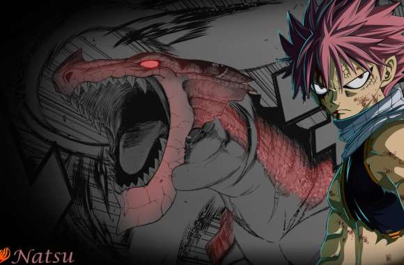 Natsu and Igneel wallpapers hd quality