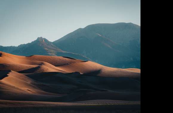 Nature Desert