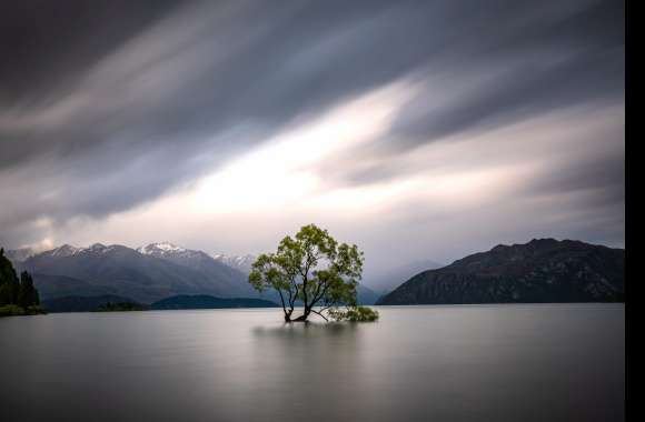 Nature Lake Wanaka