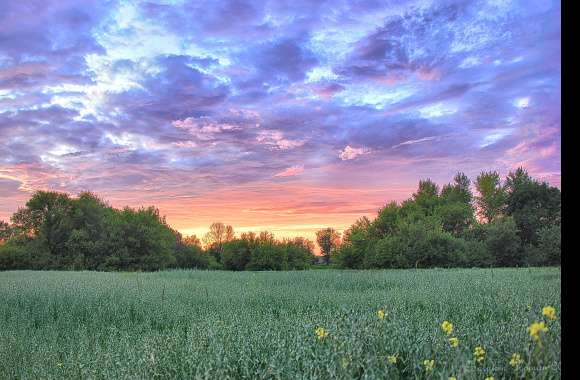 Nature Sunset