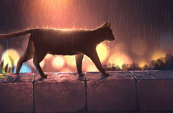 Night Rain Cat Anime