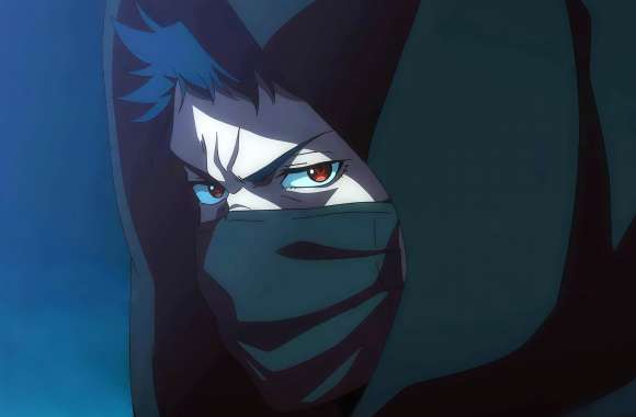 Ninja Kamui Joe Higan HD Anime Wallpaper