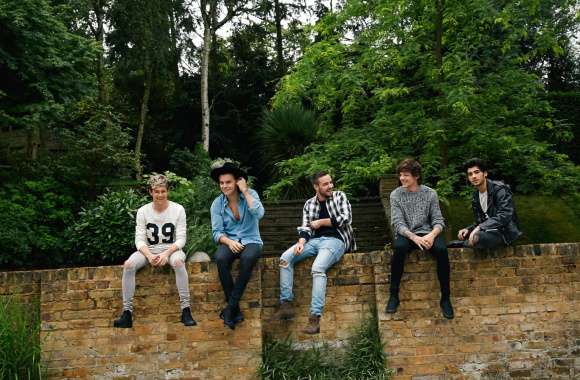 One Direction Music in Nature wallpapers hd quality