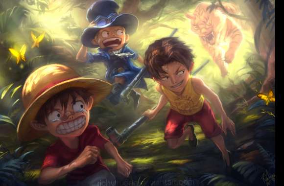 One Piece Adventure