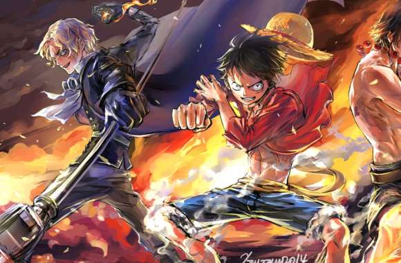 One Piece Flames of Brotherhood