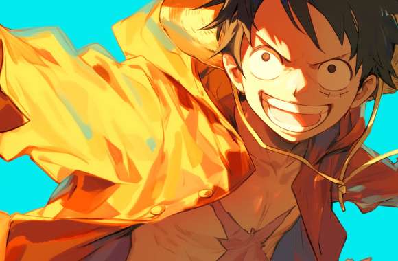 One Piece Monkey D. Luffy