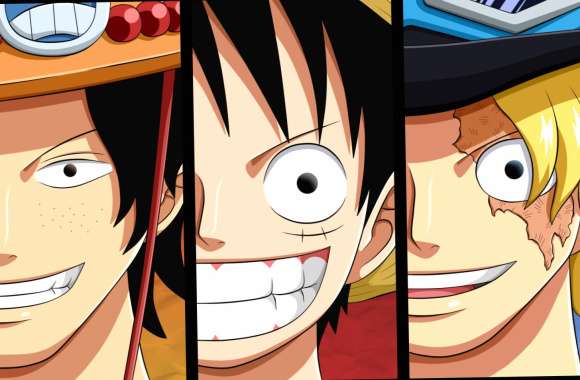 One Piece Pirate Smiles