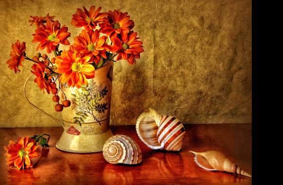 Orange Blossom & Shells wallpapers hd quality