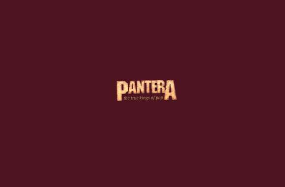 Pantera The Power of Heavy Metal