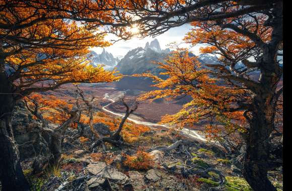 Patagonia Nature Landscape