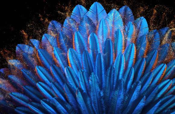 Peacock feathers Blue aesthetic