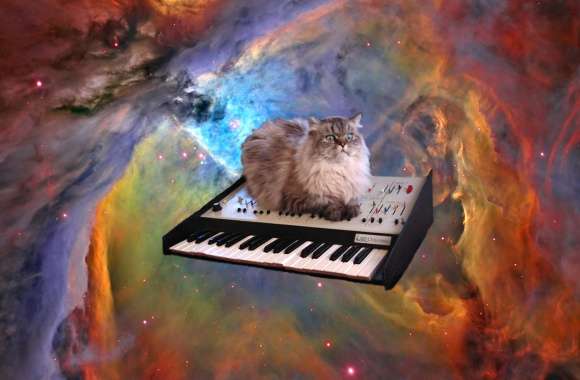 Piano Space Animal Cat Wallpaper