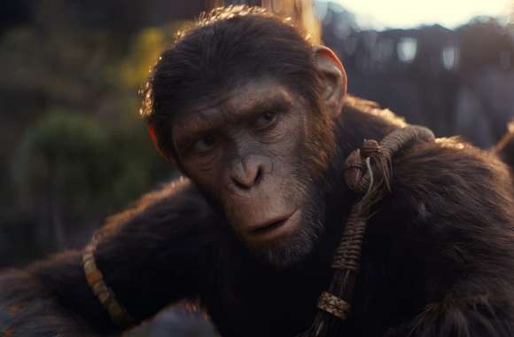 Planet of the Apes Movie - Primate Uprising