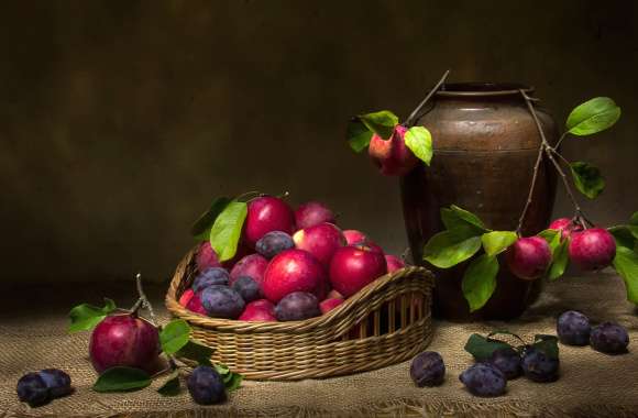 Plum Food Still Life