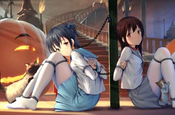 Pumpkin Thigh Highs Cat School Uniform Schoolgirl Chain Anime Original wallpapers hd quality
