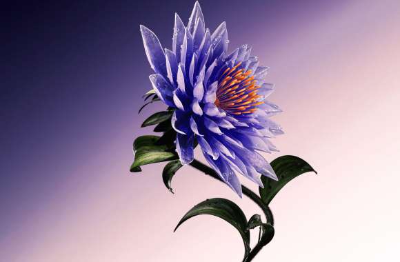 Purple Flower Artistic